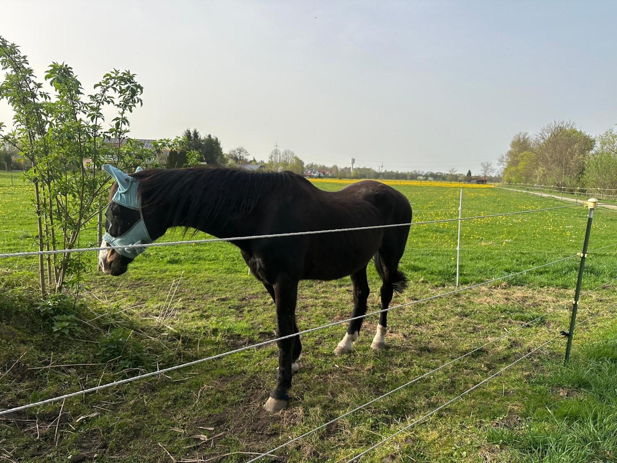 Landhaus Lindenberg Buchloe Exteriör bild